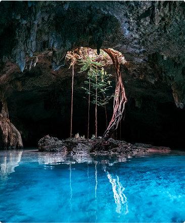 Swim in an exclusive cenote with Beach Please Tulum