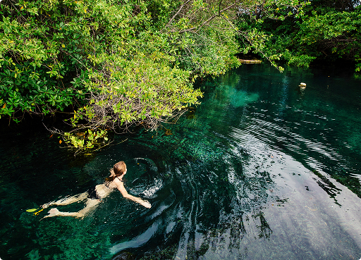 Nada en un cenote o en la Laguna Paraíso con Beach Please Tulum